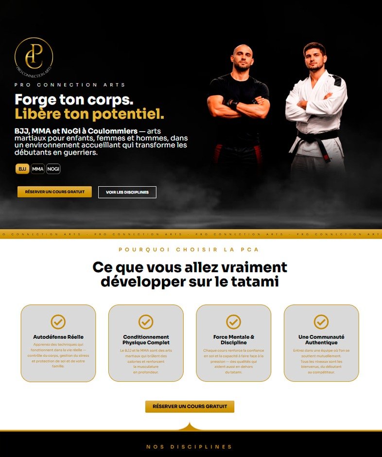 Print de site 2